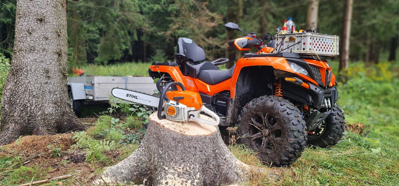 Rizikové kácení stromu a pila stihl